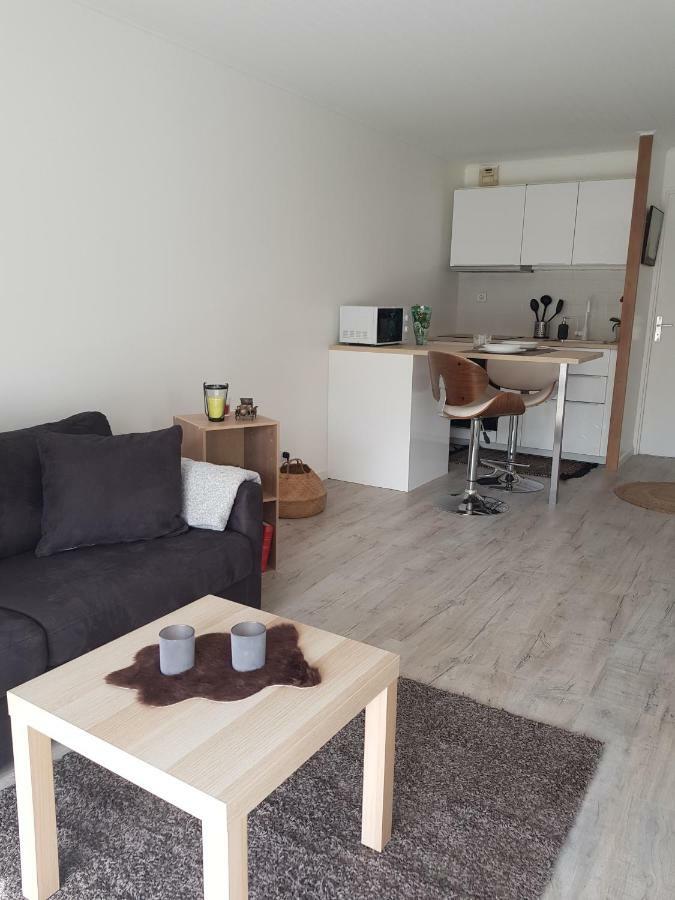Laurier Apartman Toulouse Kültér fotó